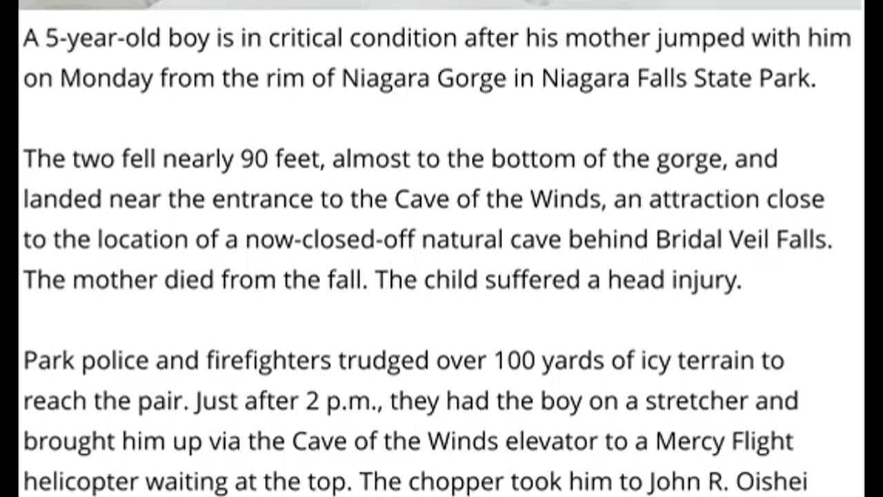 5 Year Old Boy Critical After Mother Jumped From Edge Of Niagara Gorge With Him