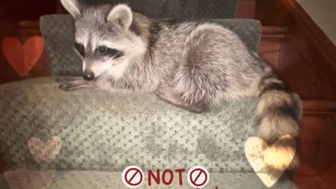 Enjoy the video, but don’t do this.