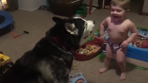 "Pure Joy: Watch This Little Boy and his Dog Create Magical Memories Together!"