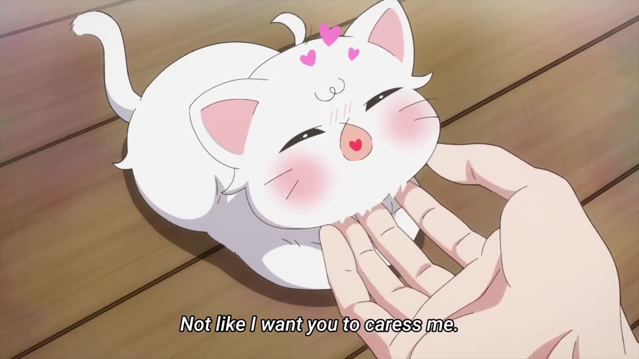 Hakutou & his Goofy owner #Cutecat #anime #manga #memes #webtoon #comics #best