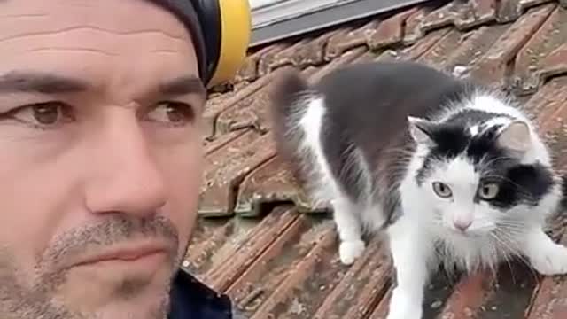 You know the cat's browser history and reveal it in public