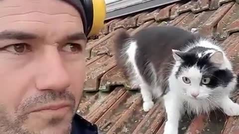 You know the cat's browser history and reveal it in public