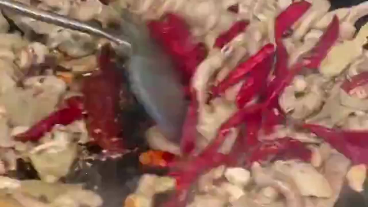 This seems to be delicious