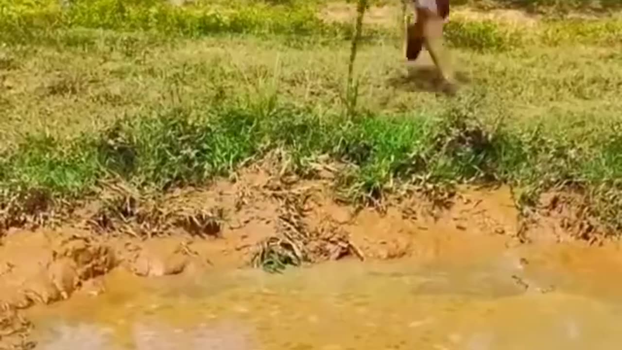 Best funny video