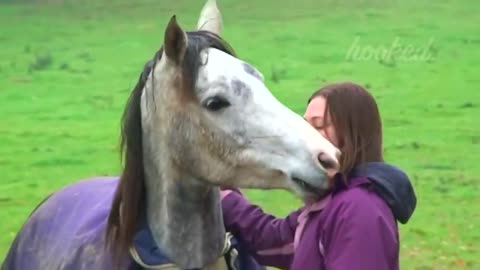 Animals reunited with their own