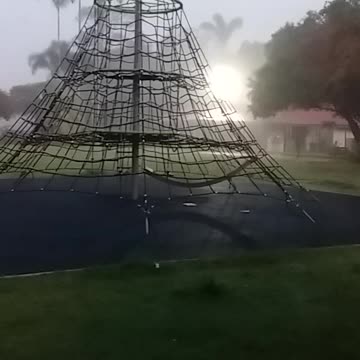 16.12.2024 Centenary Park, Kuranda