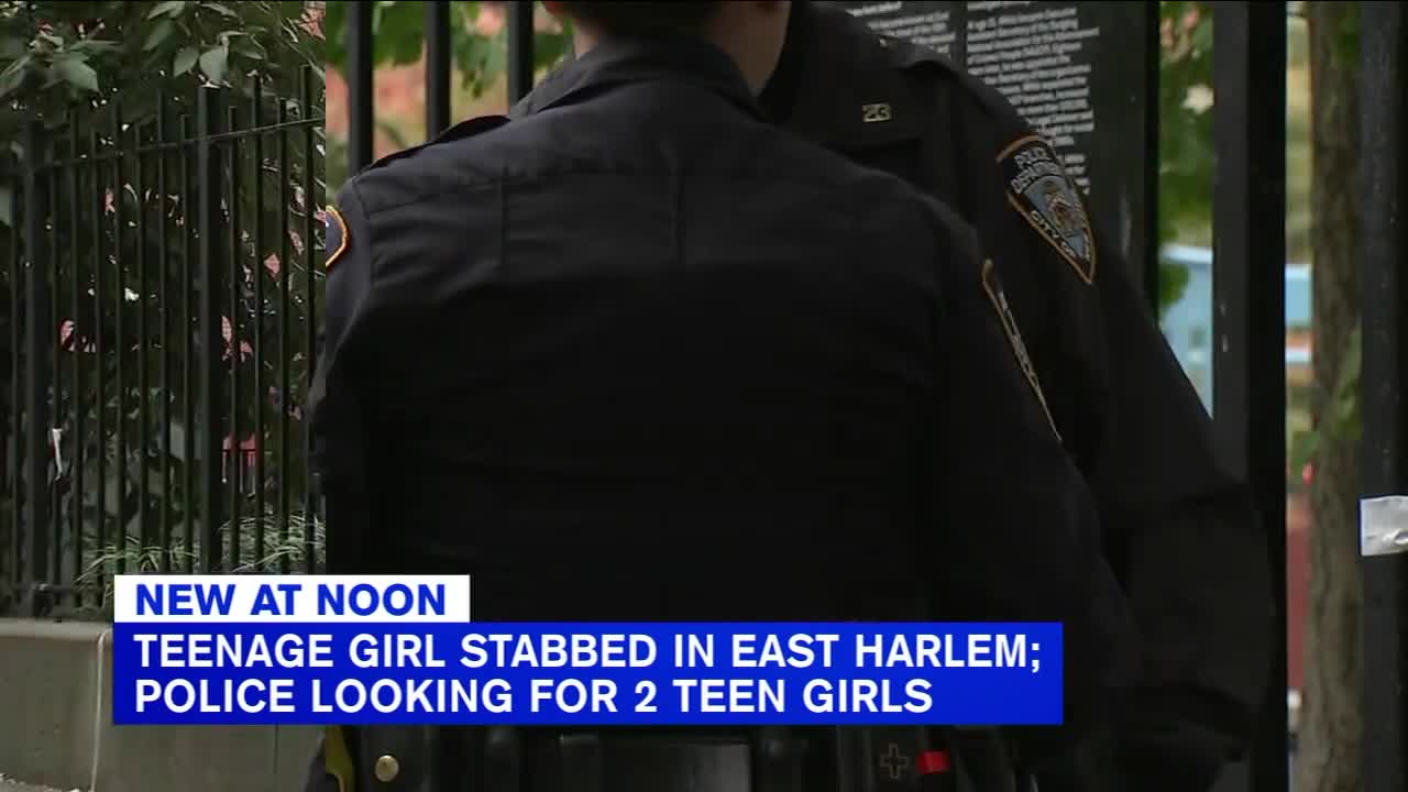 Police searching for 2 girls after 15-year-old stabbed in NYC