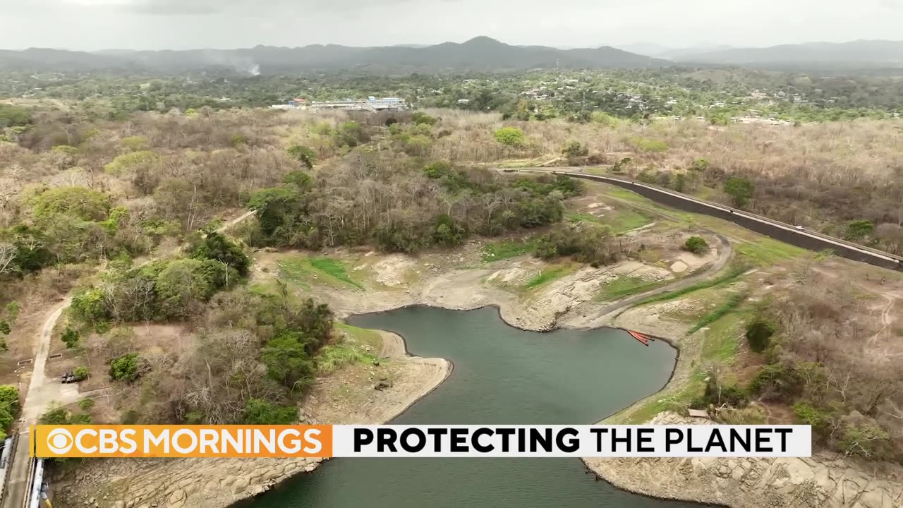 Drought affecting Panama Canal threatens 40% of global cargo ship traffic