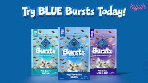 Blue Buffalo Bursts Crunchy Cat Treats