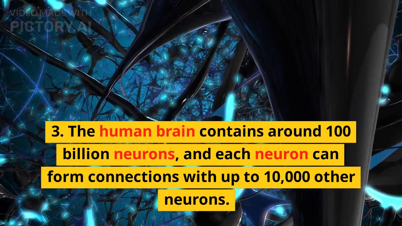 Amazing facts about Human