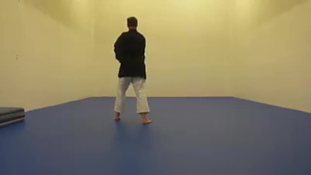 Taekwondo Forms