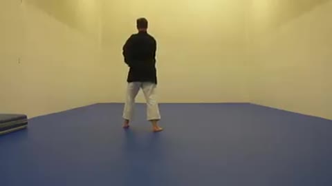 Taekwondo Forms
