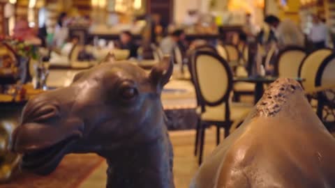 Richard Ayoade & Johnny Vegas EAT CAMEL! _ 48hrs in...Dubai