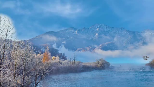 Cure is the scenery, and encounter the most beautiful snow scenery