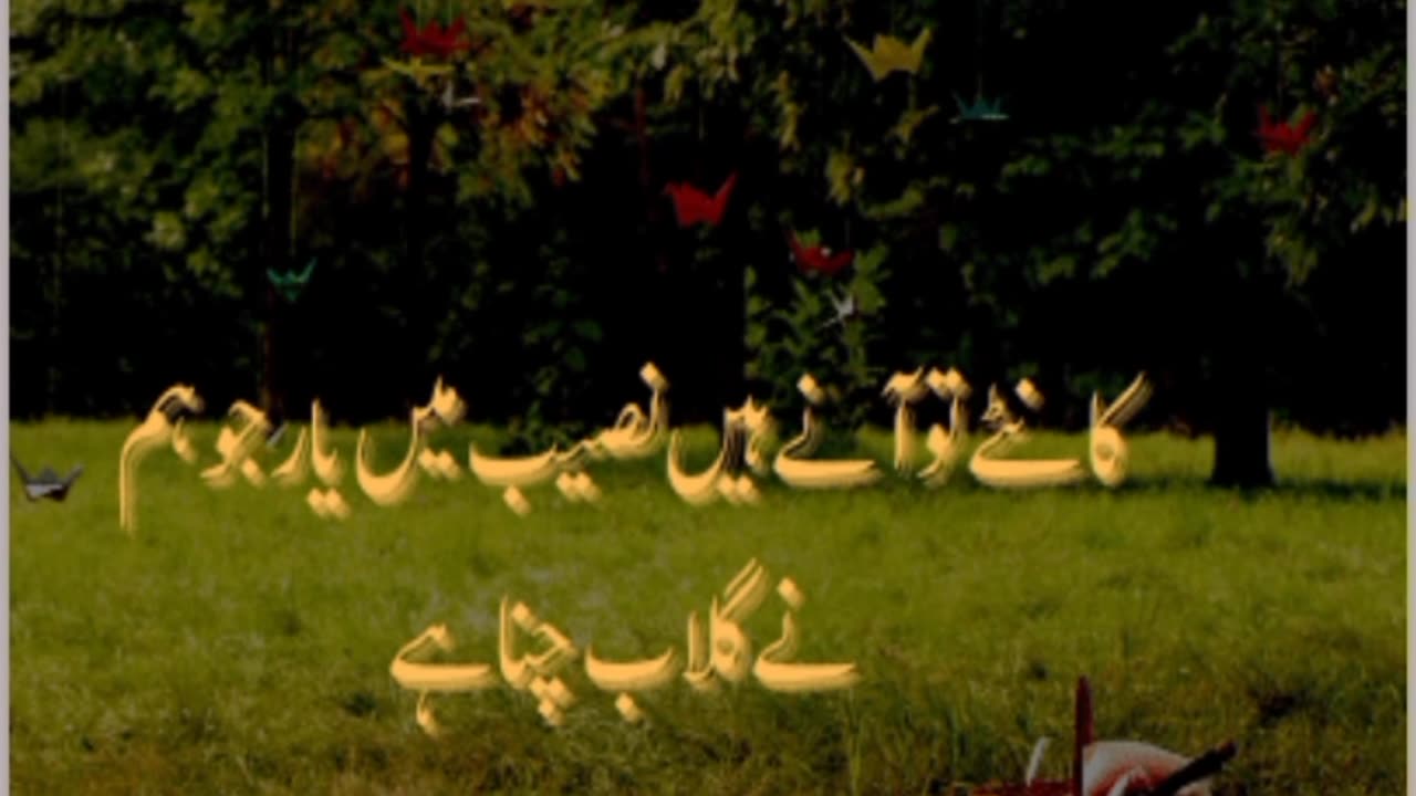Yar Jo Gulab Chuna Hai Sadpoetry Deeplinepoetry Urdupoetry