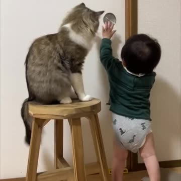 Cat Blocks Little Boy's Door Opening Attempts