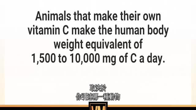 Vitamin Masterclass Episode Vitamin C 中文字幕