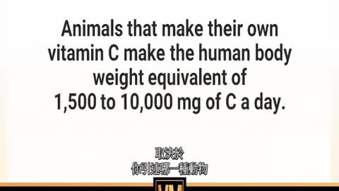 Vitamin Masterclass Episode Vitamin C 中文字幕