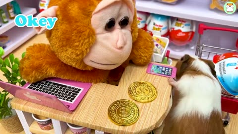 Hamster Min doing shopping in Kinder Joy eggs store and eat Chocolate