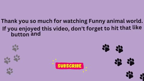 Funny cats 2024 | Funny animal videos | Funny dogs and cats videos 2024 | try not to laugh | cat tv