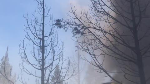 Firefighters Encounter a Dust Devil