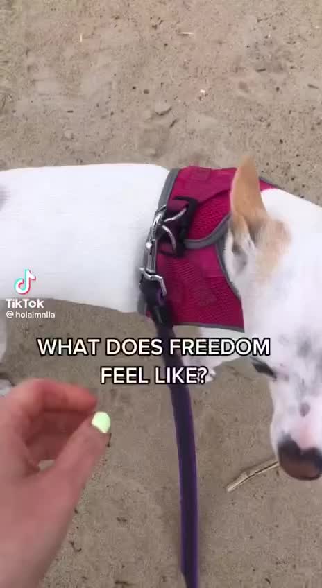 What does freedom feel like!