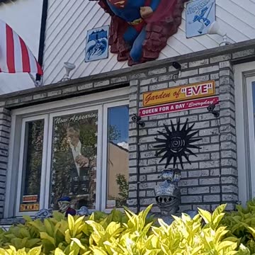 Brooklyn Crazy House