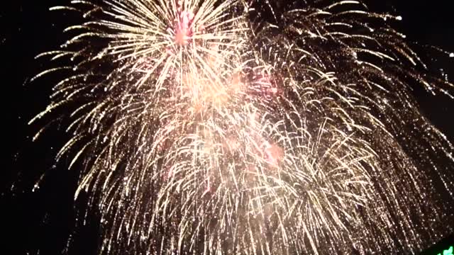 Fireworks display at Night