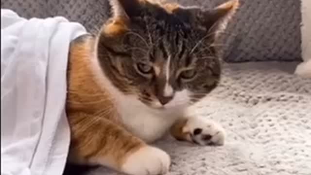 Watch this video for last😨😂