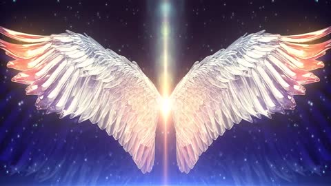 shine beautiful angel wings led background video