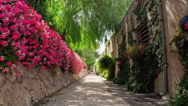 Calming Meditation, Stress Relief, Deep Sleep Meditation Music