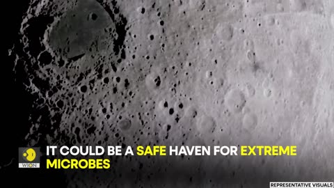 NASA scientist admits that the Moon 'might already have life on it' |