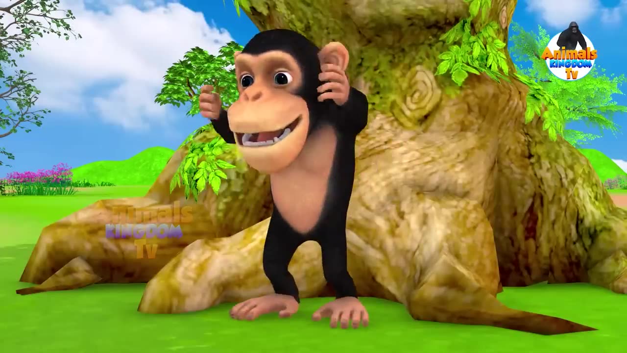 Animal video and cartoon video