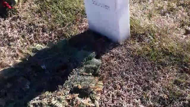 Springfield Nat'l Cem Missouri. These soldiers did not die in vain. 1/5/23
