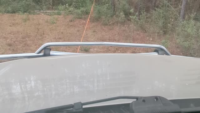 Redneck way to cut down trees😆
