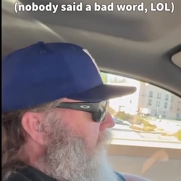 Who let the dogs out ?