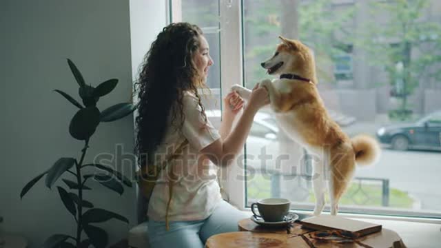 Happy young woman is dancing with pet dog sitting on window sill in cafe having fun enjoying