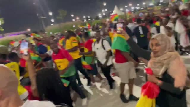 Senegal Fans Crazy Celebrations After Victory vs Ecuador