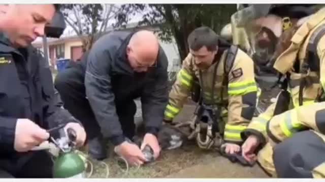 I Need a Hero! Dog Rescue! 🔞Graphic-Sensitive content🔞 #firefighters #heros #rescuedog