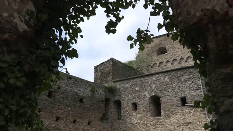 Germany Vines Frame Burg Rheinfels