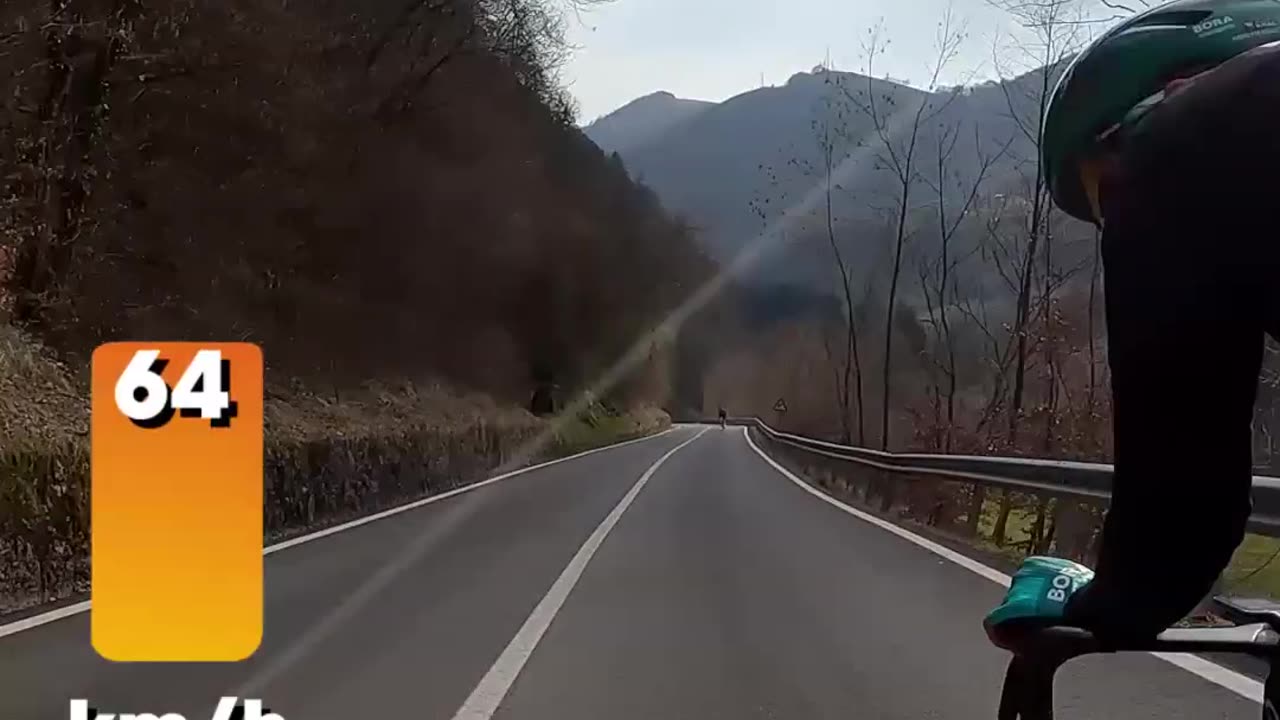 Full Throttle on Road Bikes 💨