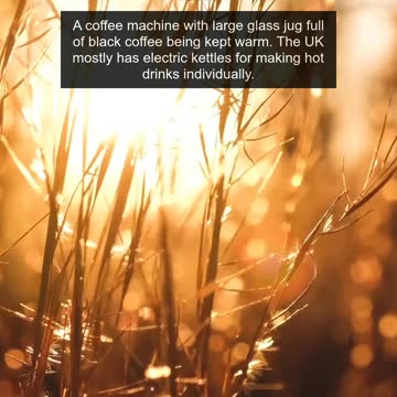 Non-Americans, what do you think every American person has in their house?