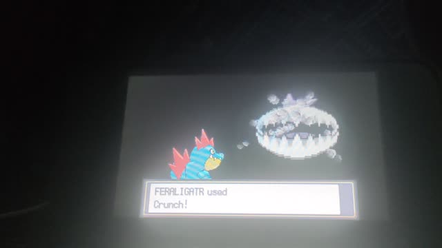 Pokemon HeartGold:Rival Battle in Goldenrod City