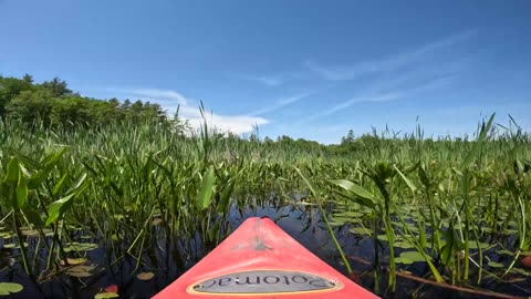 Kayaking Adventure