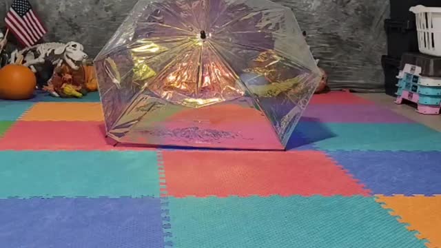 Tindrah October 2022 Task 1 Umbrella 🌂