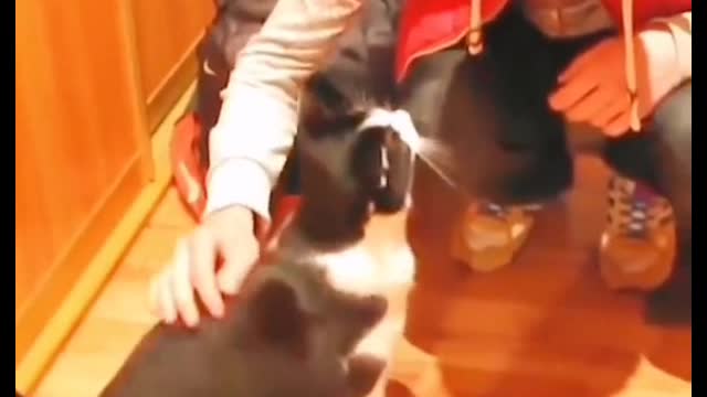 You know animals are actually attached to people