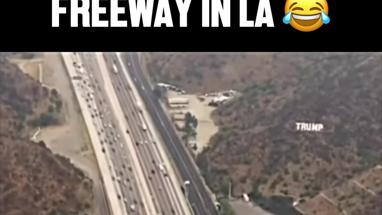 Do people really love Trump this much?