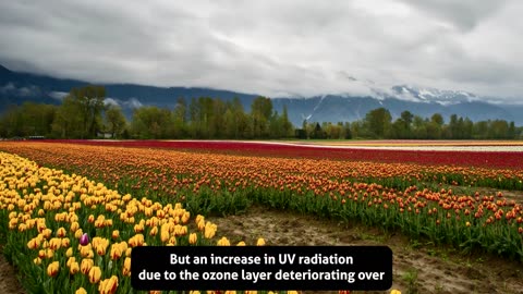 Top 10 Amazing facts about the World !!!