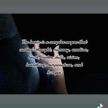 Fun facts about Brain