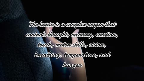 Fun facts about Brain